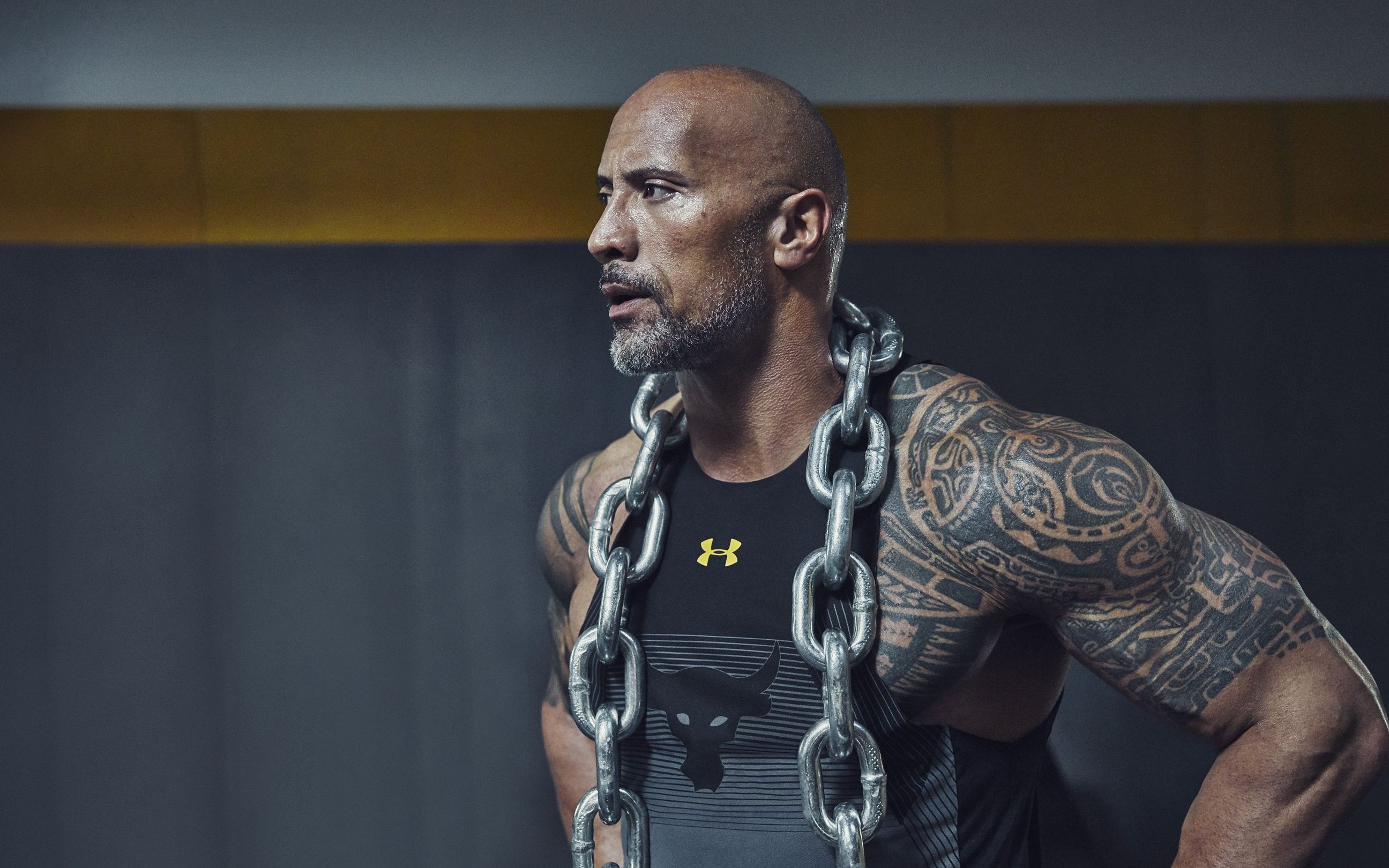 therock(therock出场音乐)